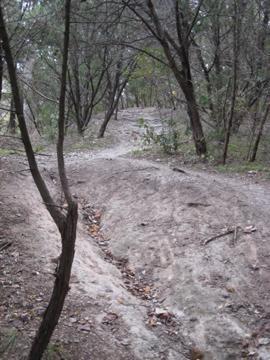 A winding dirt path through a wooded area, surrounded by trees and underbrush. The trail is slightly uneven with patches of bare ground and scattered leaves. Cameron Park mountain bike trail.