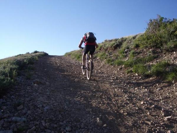 A mountain biker ascending a rocky and uneven dirt trail, surrounded by greenery, under a clear blue sky. The rider is wearing a red shirt and backpack, focusing on the challenging uphill path. Wasatch Crest mountain bike trail.