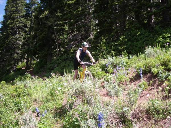 A person riding a yellow mountain bike on a narrow trail surrounded by lush green vegetation and wildflowers, with tall trees in the background and a clear blue sky above. Wasatch Crest mountain bike trail.