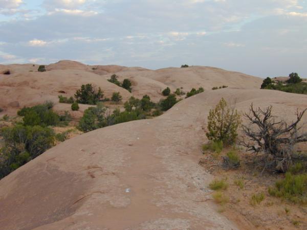 A winding path leads through a landscape of smooth, reddish-brown rock formations, dotted with sparse vegetation and small trees under a cloudy sky. Slickrock mountain bike trail.