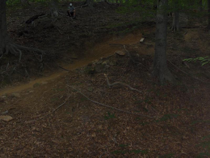 A winding dirt trail through a wooded area, surrounded by trees with exposed roots and scattered leaves on the ground. In the background, a figure is seated on a slope, blending into the natural setting. Fountainhead Regional Park mountain bike trail.