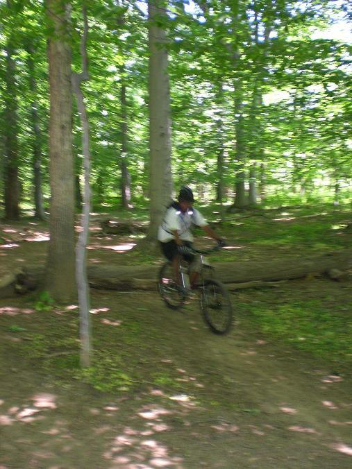 A cyclist riding a mountain bike along a dirt trail in a lush green forest, with sunlight filtering through the trees. Wakefield mountain bike trail.