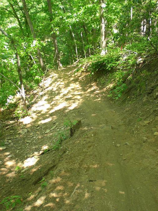 A dirt trail winding through a lush, green forest, with sunlight filtering through the leaves and creating patches of light and shadow on the path. The trail is slightly eroded in places, surrounded by trees and foliage. Wakefield mountain bike trail.