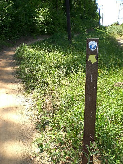 A wooden trail marker with a shield emblem and a yellow arrow, indicating the direction of the path. The surrounding area features lush green grass and a dirt trail leading into the distance, set against a backdrop of trees and power lines. Wakefield mountain bike trail.