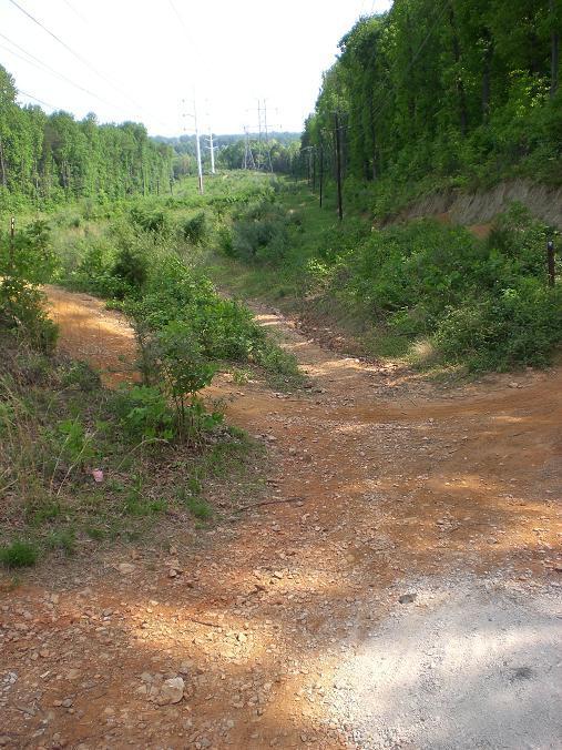 A dirt path winding through a lush, overgrown landscape, flanked by dense greenery on either side and power lines running in the background. The scene is bathed in natural light, indicating a sunny day, with a clear view of the terrain ahead. Wakefield mountain bike trail.