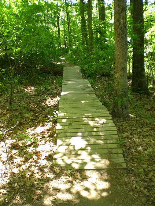 A wooden pathway leads through a lush green forest, surrounded by tall trees and dappled sunlight filtering through the leaves. The path is lined with fallen leaves and appears to gently curve into the distance, inviting exploration of the natural surroundings. Wakefield mountain bike trail.