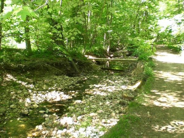 A serene forest scene featuring a clear, shallow stream bordered by rocks and lush greenery. A dirt path runs alongside the stream, inviting exploration through the vibrant foliage of the trees that provide dappled sunlight. Wakefield mountain bike trail.