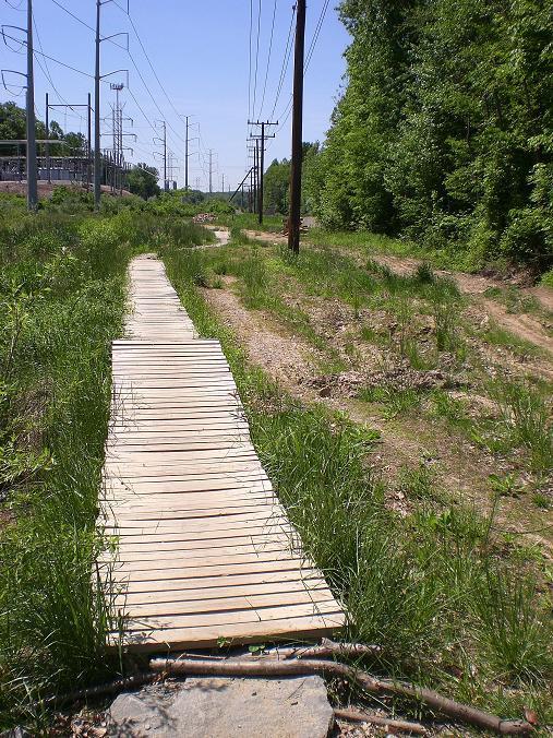 A narrow wooden boardwalk running through overgrown grass and dirt, flanked by tall power lines on the left and dense trees on the right under a clear blue sky. Wakefield mountain bike trail.