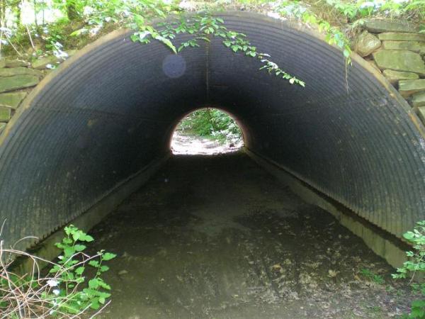 A view of a dark, corrugated tunnel surrounded by greenery. The tunnel leads into a brighter opening at the far end, with visible ground and plants at the entrance. Sunlight filters through the foliage above, casting soft shadows. Wakefield mountain bike trail.