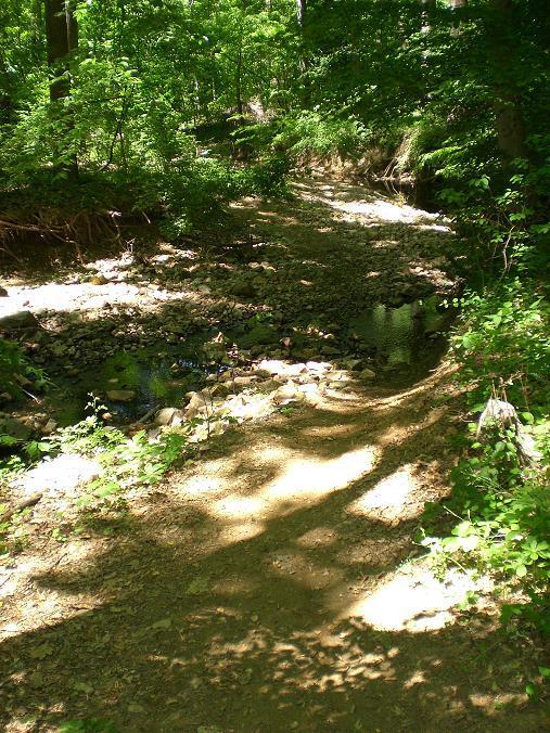 A tranquil forest scene depicting a narrow dirt path winding alongside a shallow, rocky stream. Lush green foliage surrounds the area, with dappled sunlight filtering through the trees, casting shadows on the ground. Wakefield mountain bike trail.