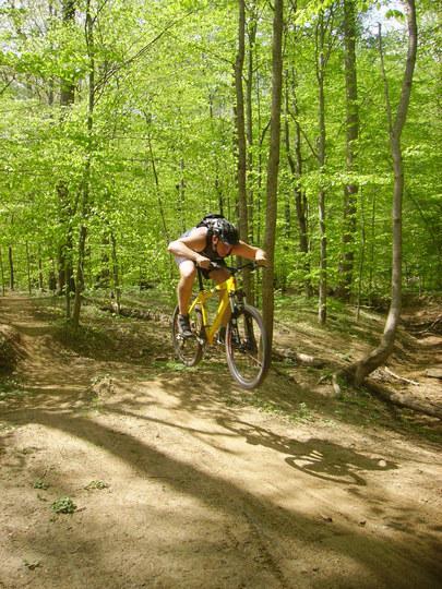 A cyclist in a yellow bike is airborne while jumping over a dirt trail in a dense green forest. Sunlight filters through the leaves, creating a vibrant and lively atmosphere. Wakefield mountain bike trail.