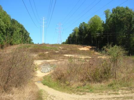 A rural landscape view featuring an unpaved path leading toward a hill covered with sparse vegetation and power lines ascending across a clear blue sky. Thick trees border the area on either side, creating a natural setting. Wakefield mountain bike trail.