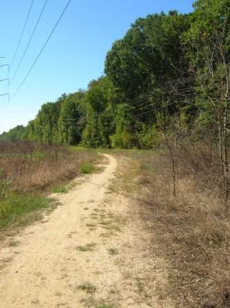 A winding dirt path surrounded by green trees and shrubs under a clear blue sky. Power lines are visible overhead, and the landscape features a mix of open space and dense foliage on either side of the trail. Wakefield mountain bike trail.