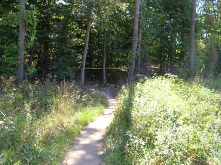 A narrow path winding through a wooded area, bordered by tall grass and shrubs, with trees providing a lush green canopy overhead. Wakefield mountain bike trail.