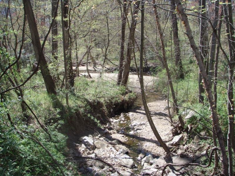 A serene forest scene featuring a small, winding creek surrounded by trees and greenery. Sunlight filters through the branches, casting shadows on the rocky stream bed. The area is lush with new leaves, indicating springtime. Wakefield mountain bike trail.