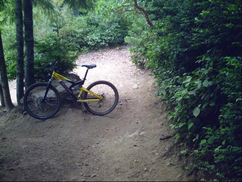 A mountain bike with a yellow frame is resting on a dirt trail surrounded by lush green foliage and trees. The path curves gently into the distance, inviting exploration. Green Mountain Trails mountain bike trail.
