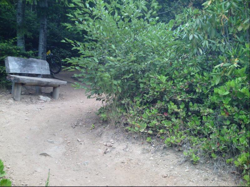 A wooden bench situated along a dirt path surrounded by lush greenery and bushes, with a bicycle partially visible in the background. The scene captures a tranquil outdoor setting, ideal for resting or enjoying nature. Green Mountain Trails mountain bike trail.