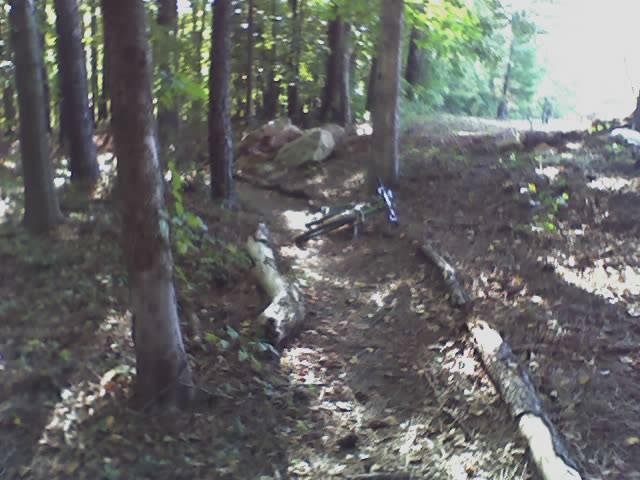 A wooded trail with a winding path covered in fallen leaves, surrounded by tall trees. A mountain bike is seen resting on the ground near the trail, with logs and rocks lining the route. Sunlight filters through the trees, creating a dappled effect on the forest floor. The Trails At The Beach mountain bike trail.