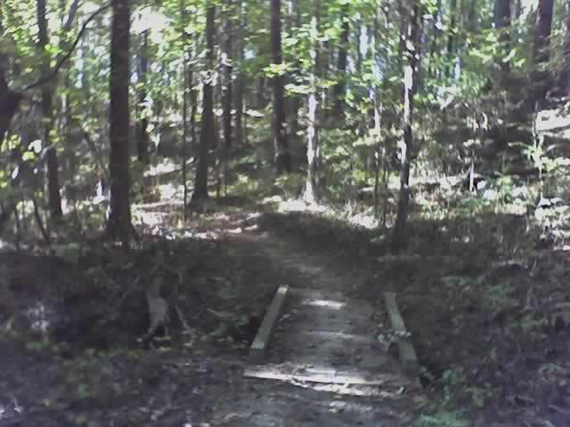 A dirt path winding through a lush forest, with sunlight filtering through the trees. A small wooden bridge crosses over a gentle dip in the terrain. The scene is tranquil, featuring a variety of green foliage and the natural beauty of the wooded environment. The Trails At The Beach mountain bike trail.