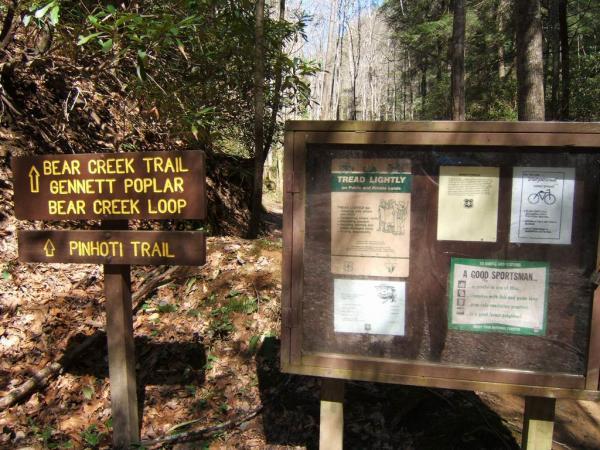 A wooden trail sign at a forest junction, directing visitors to Bear Creek Trail, Gennett Poplar, and Bear Creek Loop on the left, with Pinhoti Trail indicated below. Next to the sign is an information board displaying guidelines for outdoor etiquette, including "Tread Lightly" and "A Good Sportsman" messages, in a natural wooded setting. Bear Creek mountain bike trail.