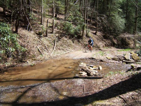 A mountain biker rides along a gravel path through a wooded area, crossing a small stream. The scene features trees and underbrush typical of a natural landscape, with sunlight filtering through the foliage. Bear Creek mountain bike trail.
