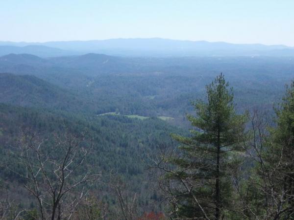 A scenic view of rolling hills and mountains in the distance, with a foreground featuring evergreen trees. The landscape showcases a lush green valley below, under a clear blue sky. Bear Creek mountain bike trail.