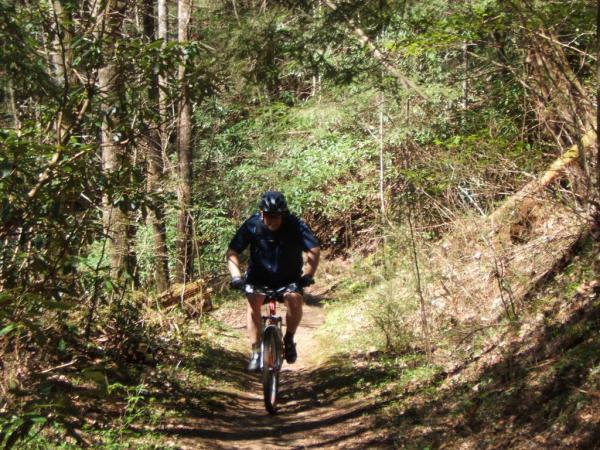 A person riding a mountain bike on a narrow dirt path surrounded by trees and greenery in a forested area. The biker is wearing a helmet and casual clothing, focused on navigating the trail. Sunlight filters through the leaves, creating a natural and vibrant outdoor setting. Bear Creek mountain bike trail.
