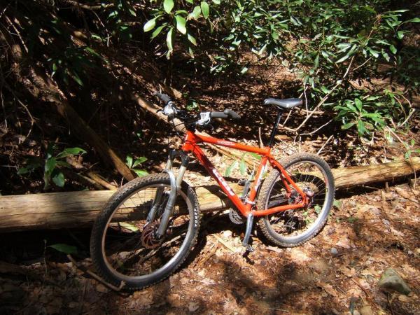 A vibrant orange mountain bike resting on the forest floor, surrounded by greenery and a fallen log. Sunlight filters through the trees, highlighting the bike's frame and tires. Bear Creek mountain bike trail.