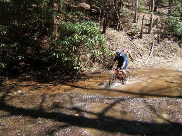 A mountain biker rides through a shallow stream in a wooded area, surrounded by lush green plants and trees. The bike splashes water as it crosses the rocky bed of the creek, showcasing a vibrant outdoor adventure scene. Bear Creek mountain bike trail.