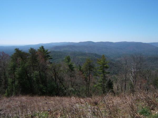 A panoramic view of rolling mountains under a clear blue sky, featuring a mix of green coniferous trees and bare branches in the foreground. The landscape showcases layers of hills in the distance, creating a tranquil and scenic natural setting. Bear Creek mountain bike trail.