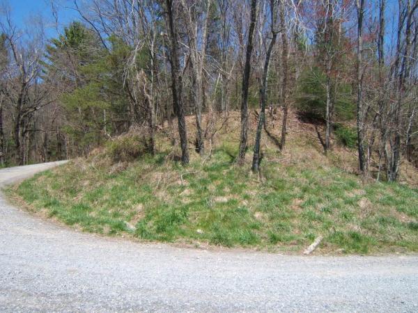 A winding gravel road curves around a grassy, partially wooded hill. The scene is set in a natural landscape with sparse trees and clear blue skies overhead. Bear Creek mountain bike trail.