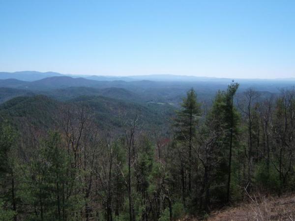 A panoramic view of rolling mountains under a clear blue sky, with a foreground of sparse trees and a distant horizon showcasing layered hills and valleys. Bear Creek mountain bike trail.