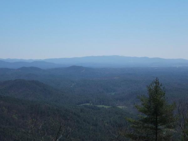 A panoramic view of rolling hills and mountains under a clear blue sky, with layers of distant peaks fading into the horizon. A small evergreen tree is visible in the foreground, adding to the natural landscape. Bear Creek mountain bike trail.