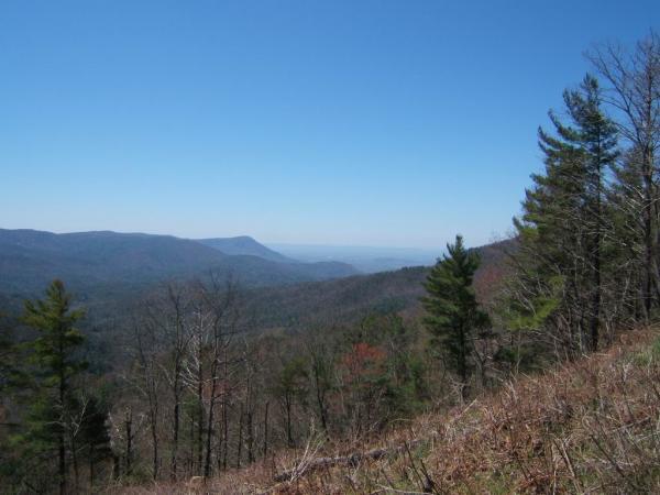 A distant view of rolling mountains under a clear blue sky, with green trees in the foreground and a gradient of hills fading into the horizon. The landscape features a mix of deciduous trees and evergreens, showcasing the natural beauty of a mountainous region. Bear Creek mountain bike trail.