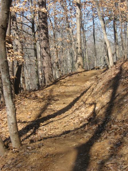 A dirt trail winding through a wooded area, with trees on either side and patches of fallen leaves covering the ground. The scene is set in a suburban forest, with a clear blue sky visible through the branches. Chicopee Woods mountain bike trail.