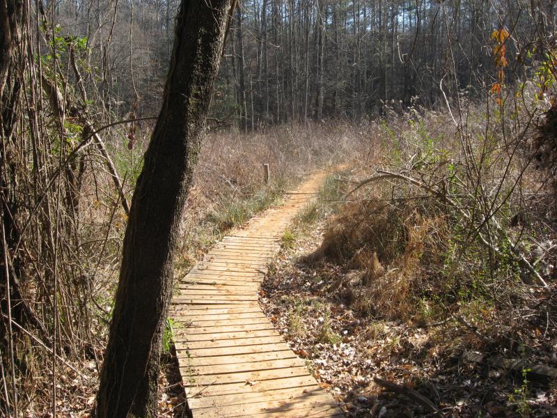 A winding wooden boardwalk path surrounded by tall trees and dense underbrush, leading into a serene forest landscape. The ground is covered with dry leaves and greenery, enhancing the natural setting. Chicopee Woods mountain bike trail.
