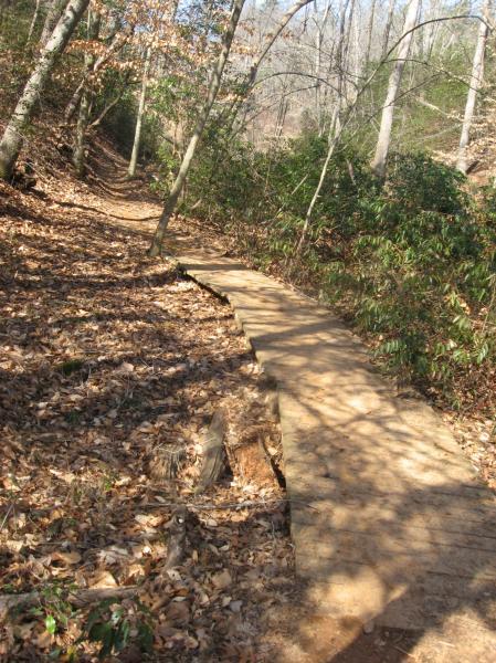 A winding trail made of wooden planks, surrounded by trees and fallen leaves, leading through a forested area. Chicopee Woods mountain bike trail.