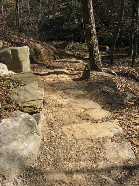 A winding dirt path leads through a wooded area, with stone steps and surrounded by dry leaves and trees. Sunlight is visible through the branches, illuminating the natural scenery. Chicopee Woods mountain bike trail.