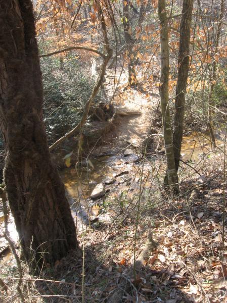 A winding creek flows through a wooded area, surrounded by trees with bare branches and some remaining autumn leaves. The ground is rocky and uneven, with sunlight filtering through the trees, creating a serene natural setting. Chicopee Woods mountain bike trail.
