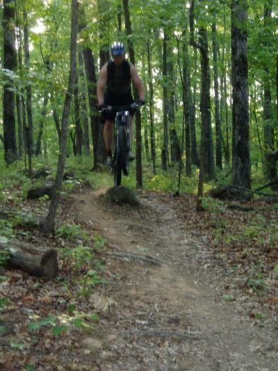 A mountain biker performing a jump on a dirt trail surrounded by trees in a wooded area. The rider is wearing a helmet and a tank top, with a mountain bike elevated above a rocky section of the path. Sunlight filters through the leaves, creating a vibrant green backdrop. Dauset Trails Nature Center mountain bike trail.
