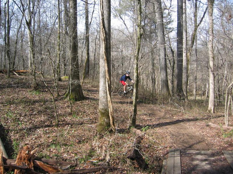 A mountain biker in mid-air jumps over a small wooden bridge on a dirt trail surrounded by trees in a wooded area during the daytime. The scene depicts a vibrant natural setting with bare trees and scattered leaves on the ground. Dauset Trails Nature Center mountain bike trail.