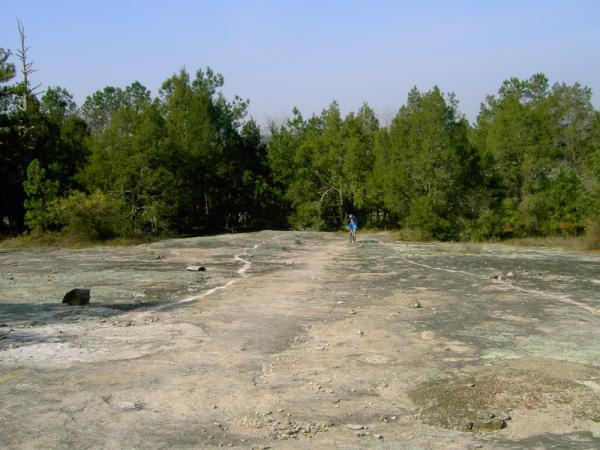 A person walking on a rocky, uneven terrain with scattered boulders, surrounded by a dense forest of evergreen trees under a clear blue sky. Georgia International Horse Park mountain bike trail.