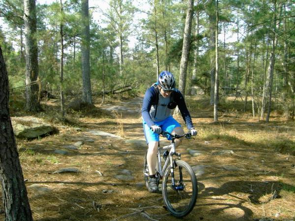 A cyclist riding a mountain bike on a rocky forest trail, surrounded by tall pine trees and a natural, earthy landscape. The rider is wearing a helmet and cycling gear, focused on navigating the terrain. Georgia International Horse Park mountain bike trail.