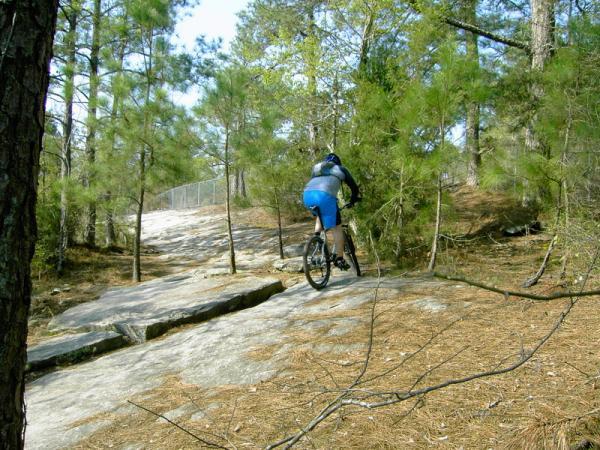 A mountain biker riding up a rocky trail surrounded by pine trees in a wooded area. Sunlight filters through the foliage, highlighting the bike and the trail's natural terrain. Georgia International Horse Park mountain bike trail.