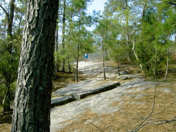 A person wearing a blue shirt walks along a rocky path in a forested area, surrounded by tall trees and greenery. The path is uneven and features exposed rocks, with patches of pine needles on the ground. A fence is visible in the background, indicating a more defined boundary in this natural setting. Georgia International Horse Park mountain bike trail.
