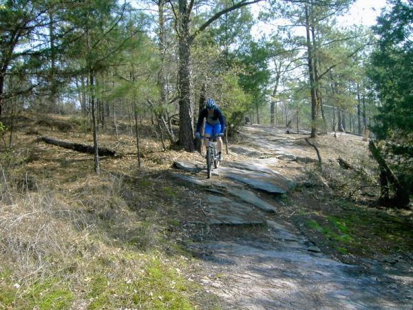 A mountain biker navigating a rocky trail surrounded by trees and vegetation on a sunny day. Georgia International Horse Park mountain bike trail.