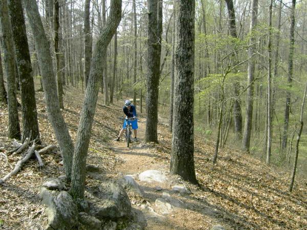 A mountain biker in blue shorts stands next to their bike on a winding dirt trail surrounded by tall trees in a forest during early spring. The ground is covered with fallen leaves and rocks, and the trees are beginning to sprout new green leaves. Georgia International Horse Park mountain bike trail.