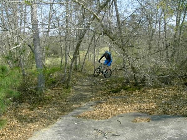 A mountain biker in mid-air performing a jump on a dirt trail surrounded by bare trees and scattered leaves. The rider is wearing a blue jersey and helmet, showcasing an action-packed moment in a natural setting. Georgia International Horse Park mountain bike trail.