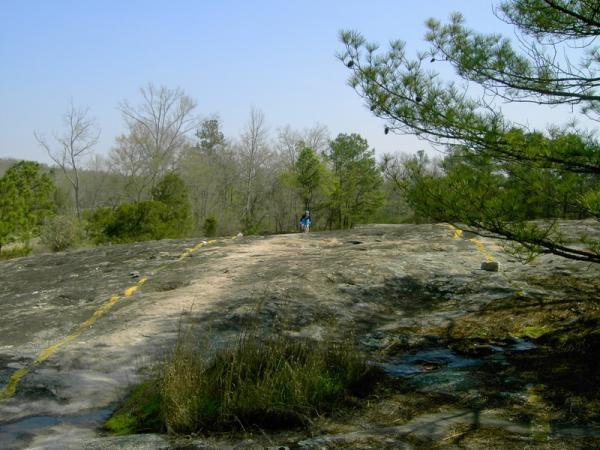 A person standing on a large rocky surface with faint yellow lines, surrounded by sparse trees and greenery under a clear blue sky. Georgia International Horse Park mountain bike trail.