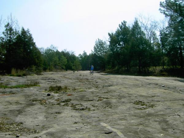 A rocky, desolate landscape with sparse vegetation, featuring a cyclist in the distance riding along a flat, uneven surface. Pine trees line the background under a bright sky. Georgia International Horse Park mountain bike trail.